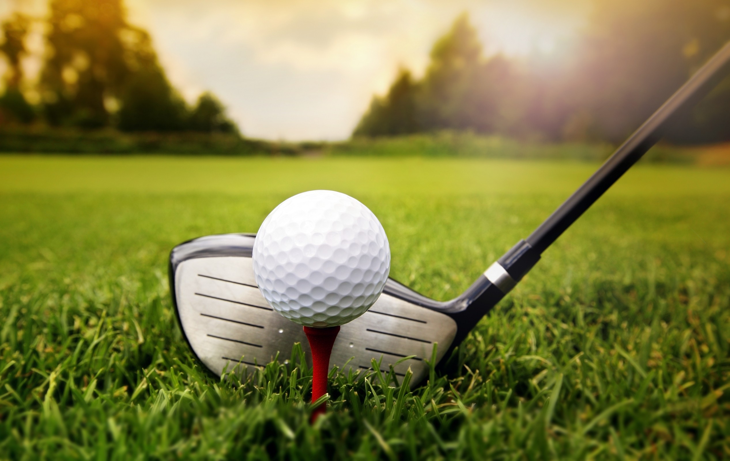 М’ячі для гольфу: види та характеристики